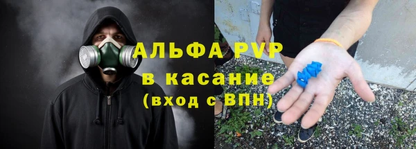 дмт Белокуриха