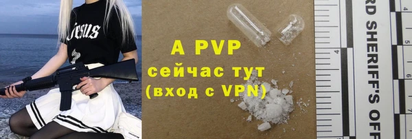 дживик Беломорск
