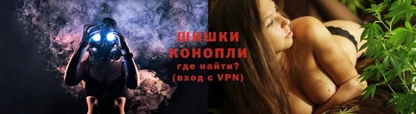 дмт Белокуриха