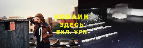 дмт Белокуриха