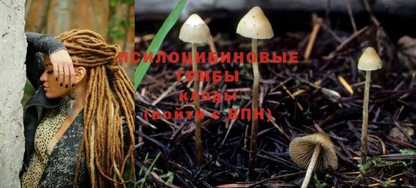 трава Белоозёрский