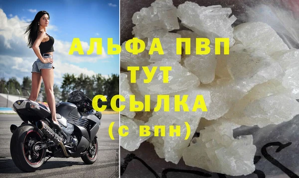 дмт Белокуриха