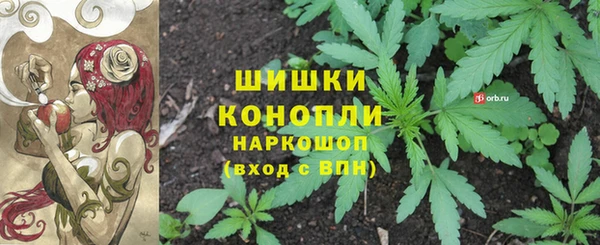 дмт Белокуриха